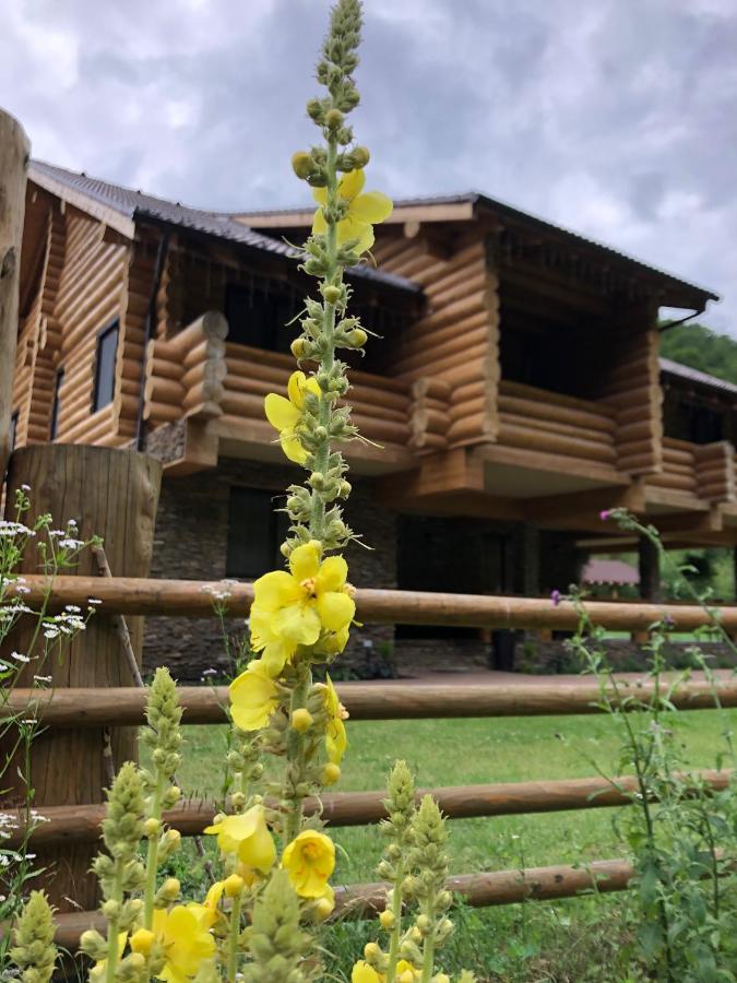 Casa Din Vale Hotel Sacuieu Екстериор снимка