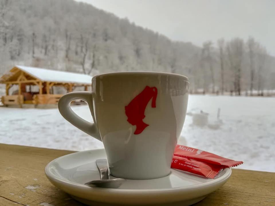 Casa Din Vale Hotel Sacuieu Екстериор снимка