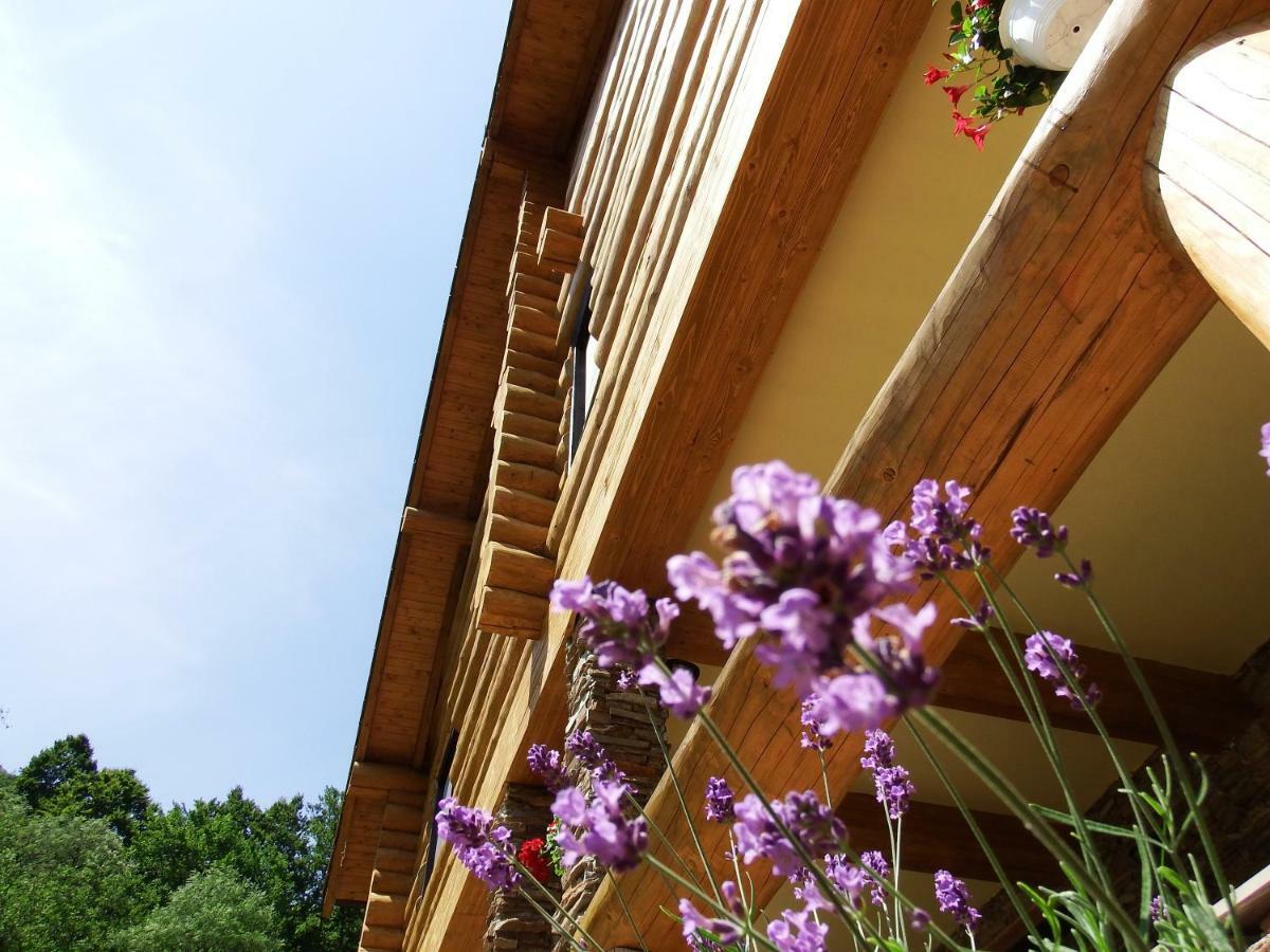 Casa Din Vale Hotel Sacuieu Екстериор снимка