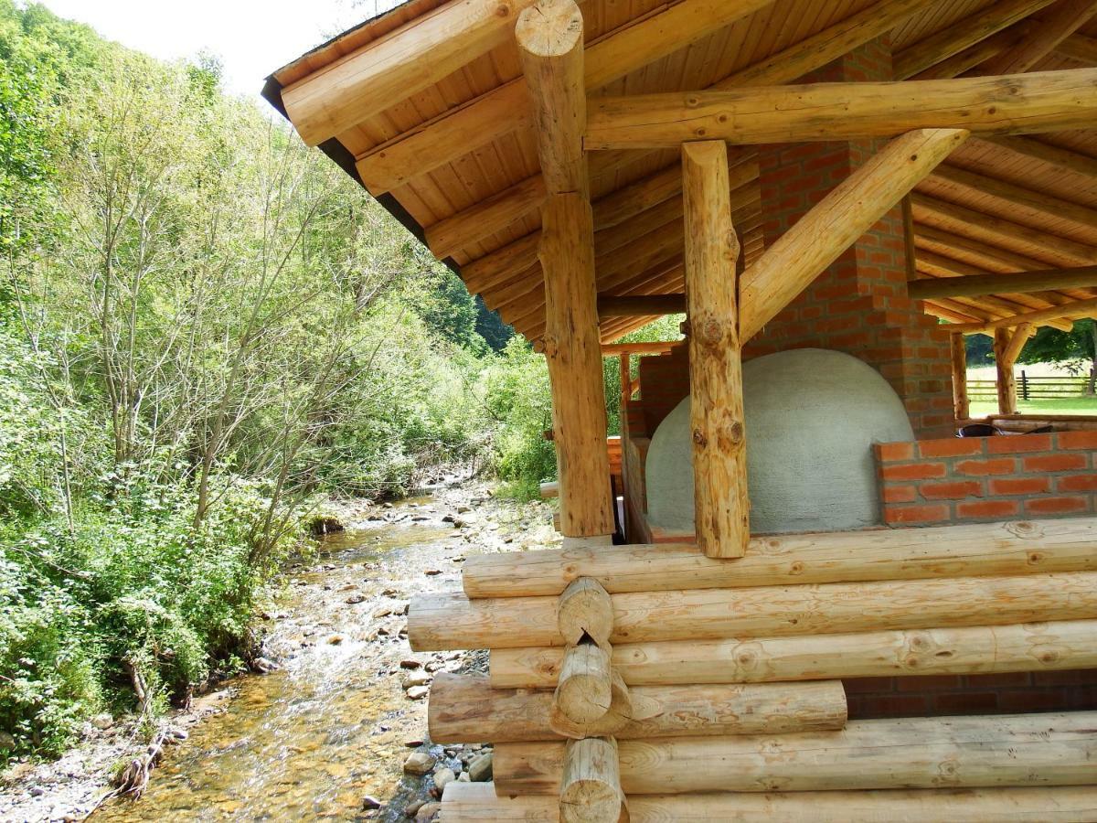 Casa Din Vale Hotel Sacuieu Екстериор снимка